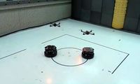 Robots working in coordination
