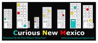 Curious NM Logo