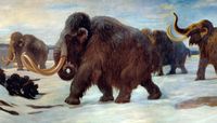Woolly Mammoth