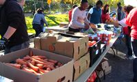 Lobo Food Pantry