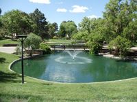 Duck Pond