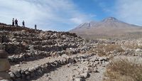 agricultural terraces in Chile