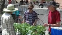 Sustainability Expo