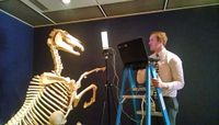 Taylor scans in 3-D the skeleton of famous racehorse, Sysonby, at the International Museum of the Horse in Lexington, KY. It was part of a study to assess the impact of heavy exertion and harnessing on the skull.