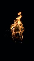 Red Rally bonfire