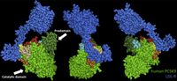 PCSK9 crystal structure