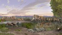 Megafauna research