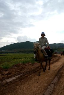 UNM Assistant Professor of Anthropology Siobhan Mattison traveling to a remote village to conduct interviews. UNM Assistant Professor of Anthropology Siobhan Mattison traveling to a remote village to conduct interviews.