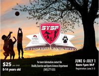 SYSP 2016
