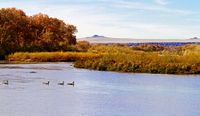 Rio Grande