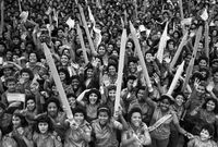 Movement volunteers