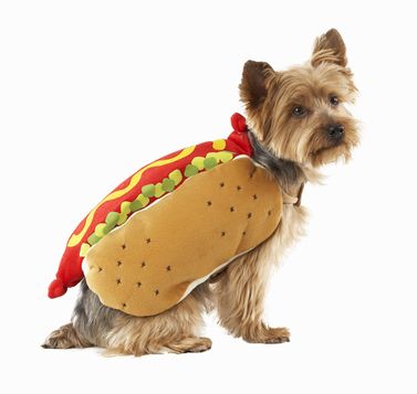Hot Dog Pet Costume Target Hot Dog Pet Costume Target