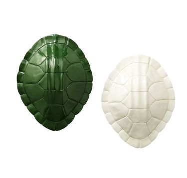 Nate Berkus Lacquer Tortoise Wall Accessory in Green and Cream (also available in Yellow)