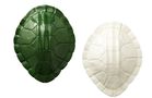 Nate Berkus Lacquer Tortoise Wall Accessory in Green and Cream (also available in Yellow)