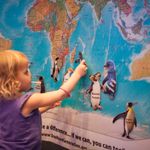 Child puts penguin on board