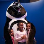 George Waddlesworth, one of the Aquarium’s new spokespenguins, poses with guests attending the annual Party with the Penguins event. George with children