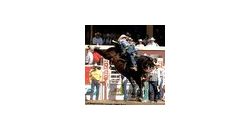 Rodeothumb Rodeothumb