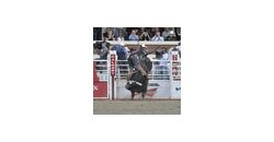 rodeo - thumb rodeo - thumb