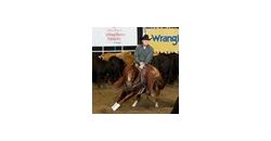 Cutting horse futurity-squarethumb Cutting horse futurity-squarethumb