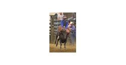 26.08.12 4-H Rodeo thumb 26.08.12 4-H Rodeo thumb