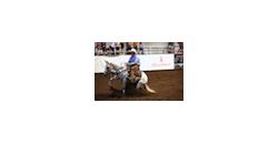 05.07.12 Working Cow Horse thumb 05.07.12 Working Cow Horse thumb