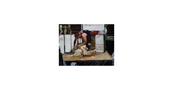 02.07.12 Shearing Troendle thumb 02.07.12 Shearing Troendle thumb