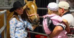 Horse Haven Horse Haven