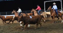 10 Class Team Penning Reserve Champions 10 Class Team Penning Reserve Champions