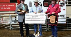 Corey Perry World Stock Dog Champion 2015 Corey Perry World Stock Dog Champion 2015