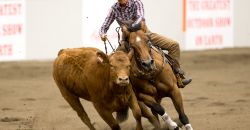 Open Bridle Champion Suzon Schaal Open Bridle Champion Suzon Schaal