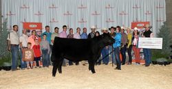 UFA Junior Steer Classic, Grand Champion Katie Serhienko UFA Junior Steer Classic, Grand Champion Katie Serhienko