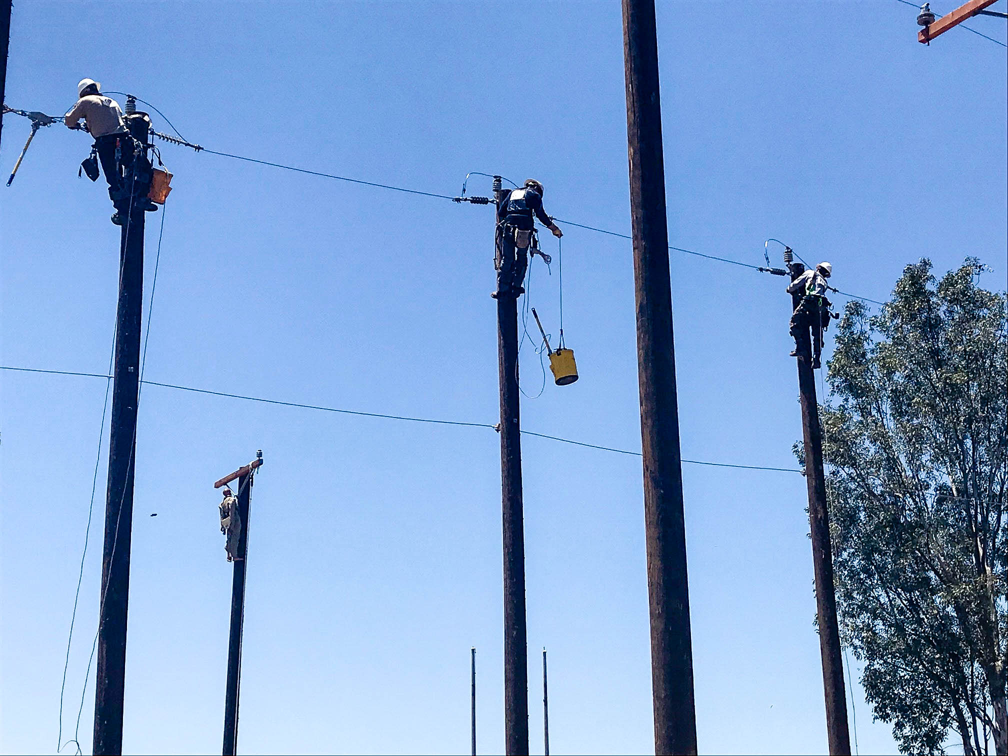 Linemen and Apprentices Showcase Skills at SCE’s Lineman’s Rodeo