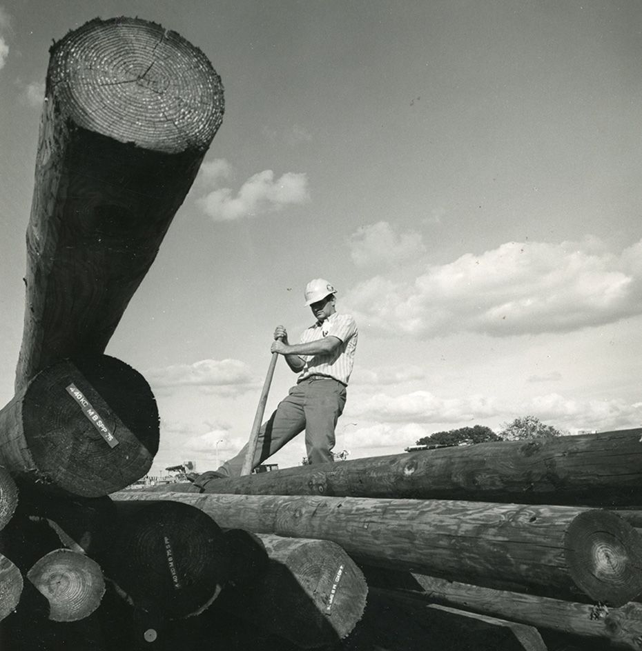 This photo from the Florida Power collection is from Wildwood Warehouse, 1976. Who is employee and what is he doing? And what's Wildwood Warehouse? Lumber 33