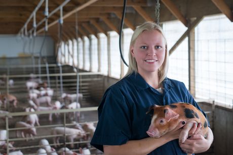 Need caption? Pig Power