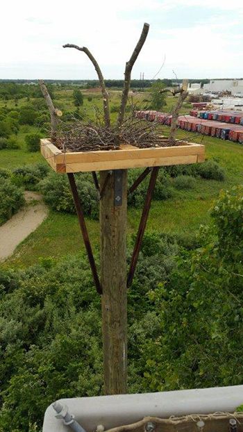 Luxurious eagles' nest Subaru_Platform_300