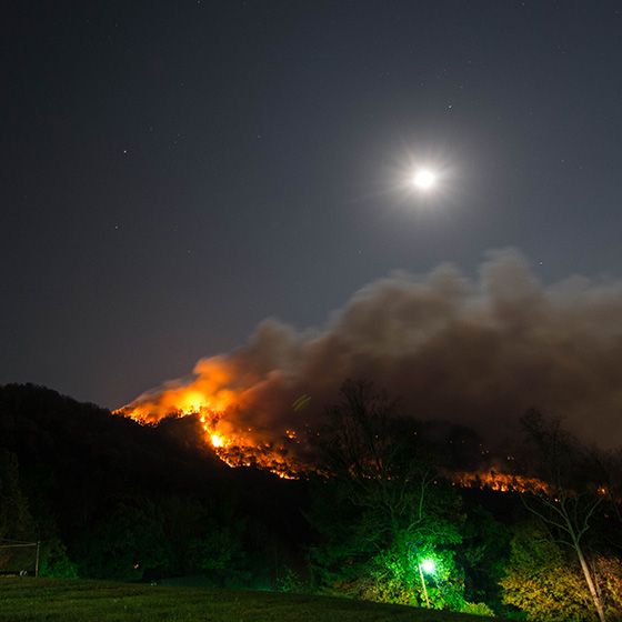 NCFires-Art-560-2
