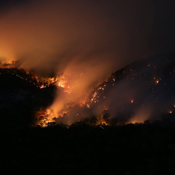 NCFires-Art-560-3