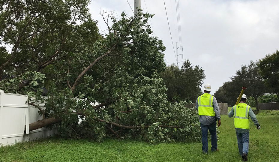 A crew inspecting damage in St. Petersburg. 20170912patrolling