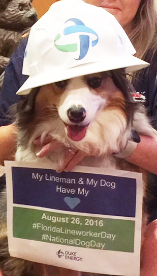 The Cornell's dog, Iris 2018-0402-WifeLetter-Cornell_2