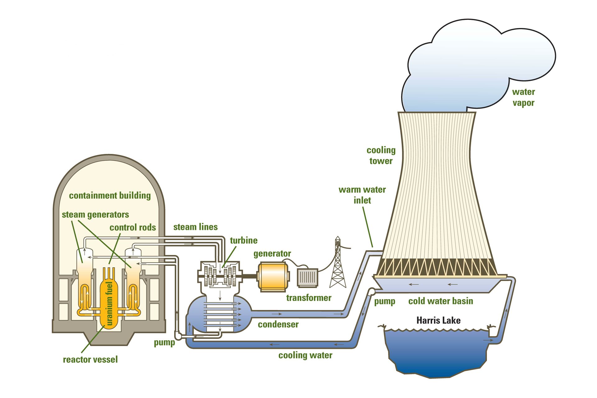 nuclear energy diagram