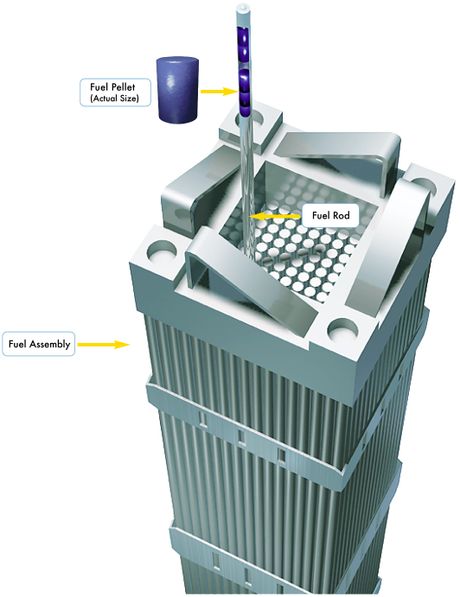 uranium fuel pellet