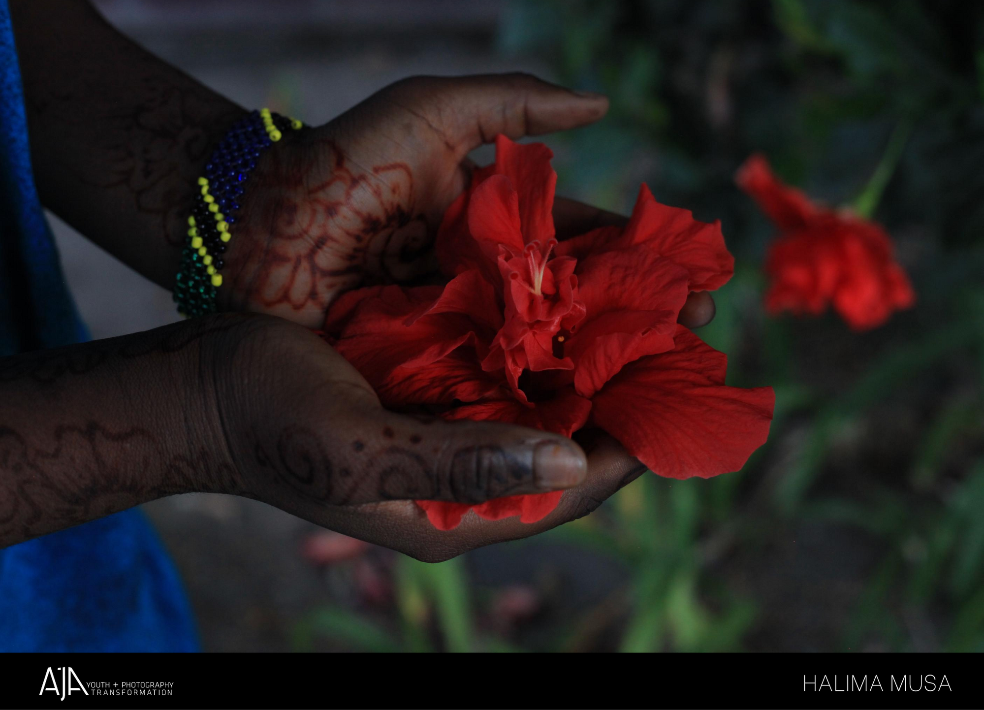 Halima.flower