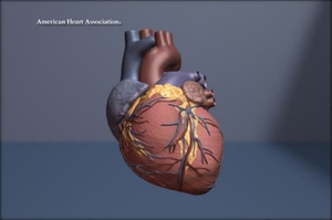 Beating Heart (Loop)