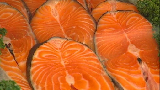 Salmon