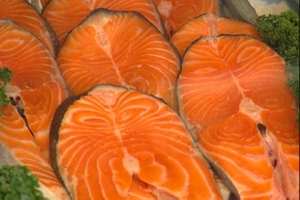 Salmon