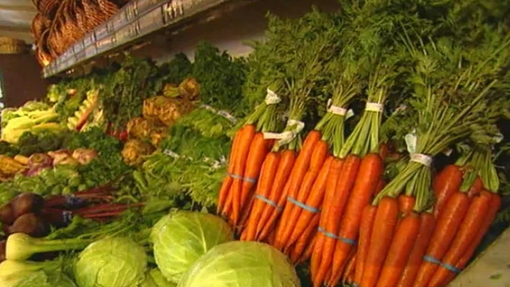 Fresh Vegetables 1