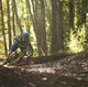 Bell Mountain Biker